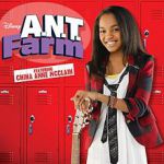 ant farm